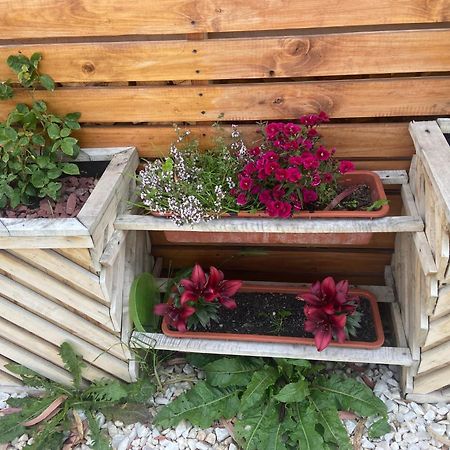 Cabanas Bosque Austral Punta Arenas Zewnętrze zdjęcie
