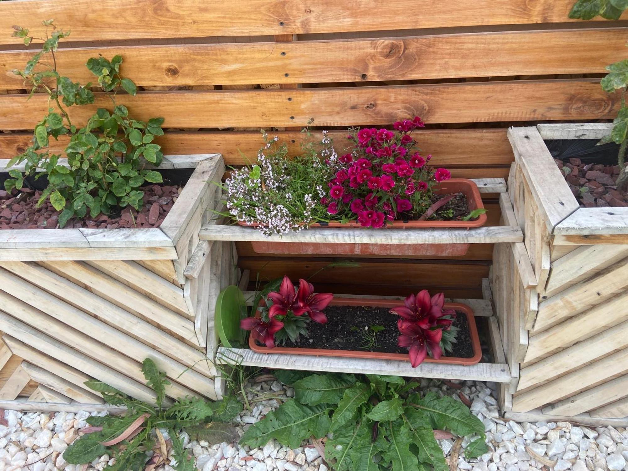 Cabanas Bosque Austral Punta Arenas Zewnętrze zdjęcie