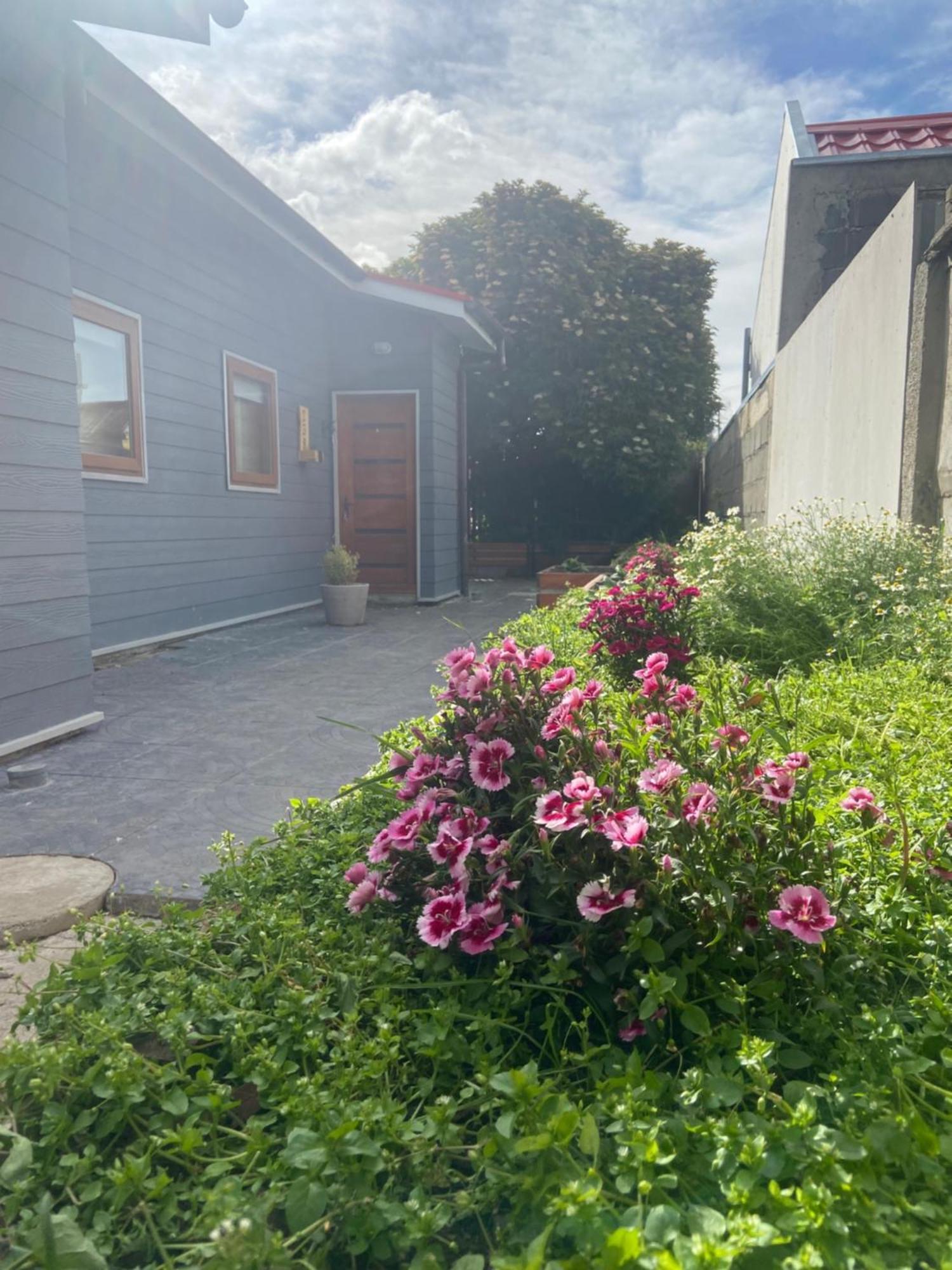Cabanas Bosque Austral Punta Arenas Zewnętrze zdjęcie